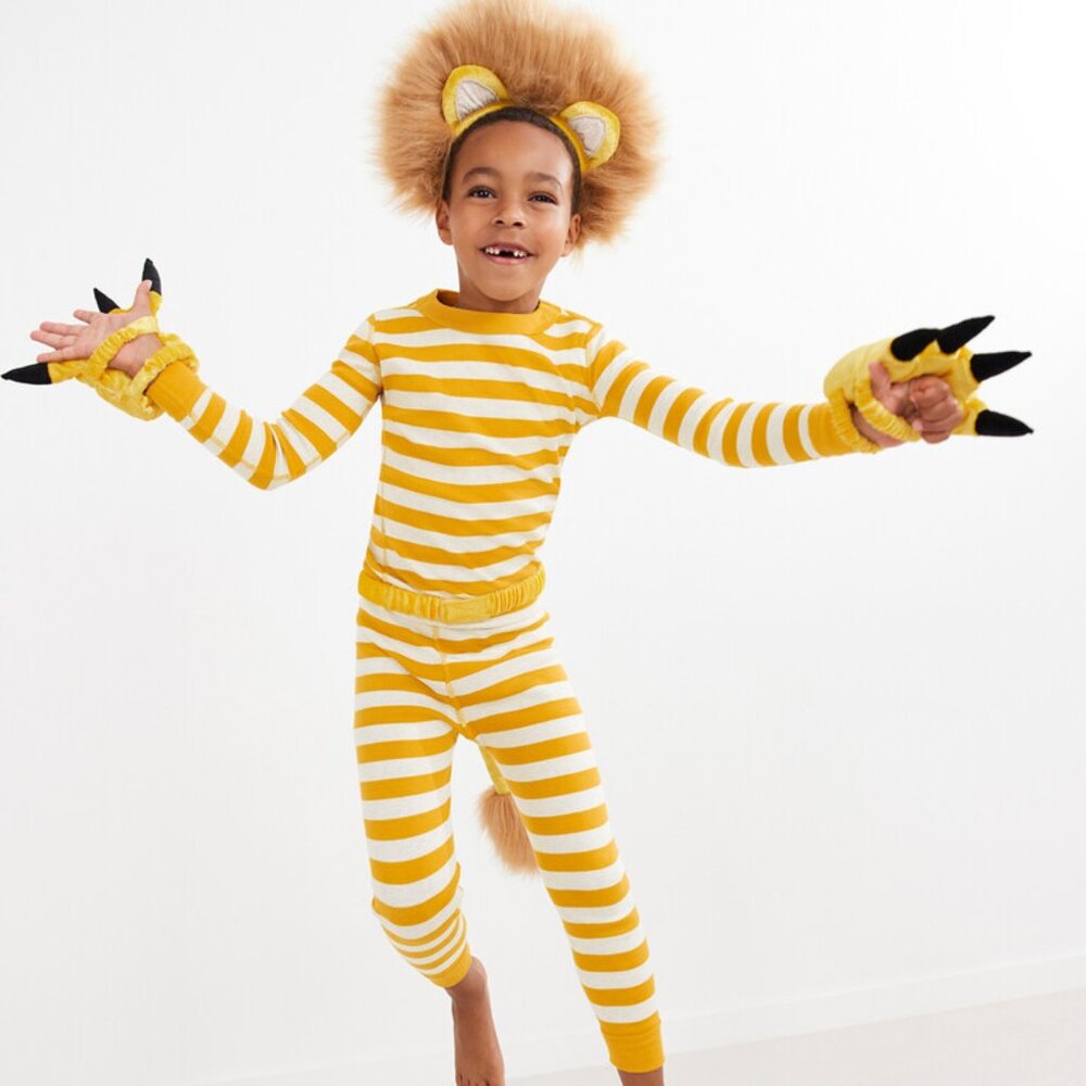 Hanna Andersson Lion Costume Set NWT